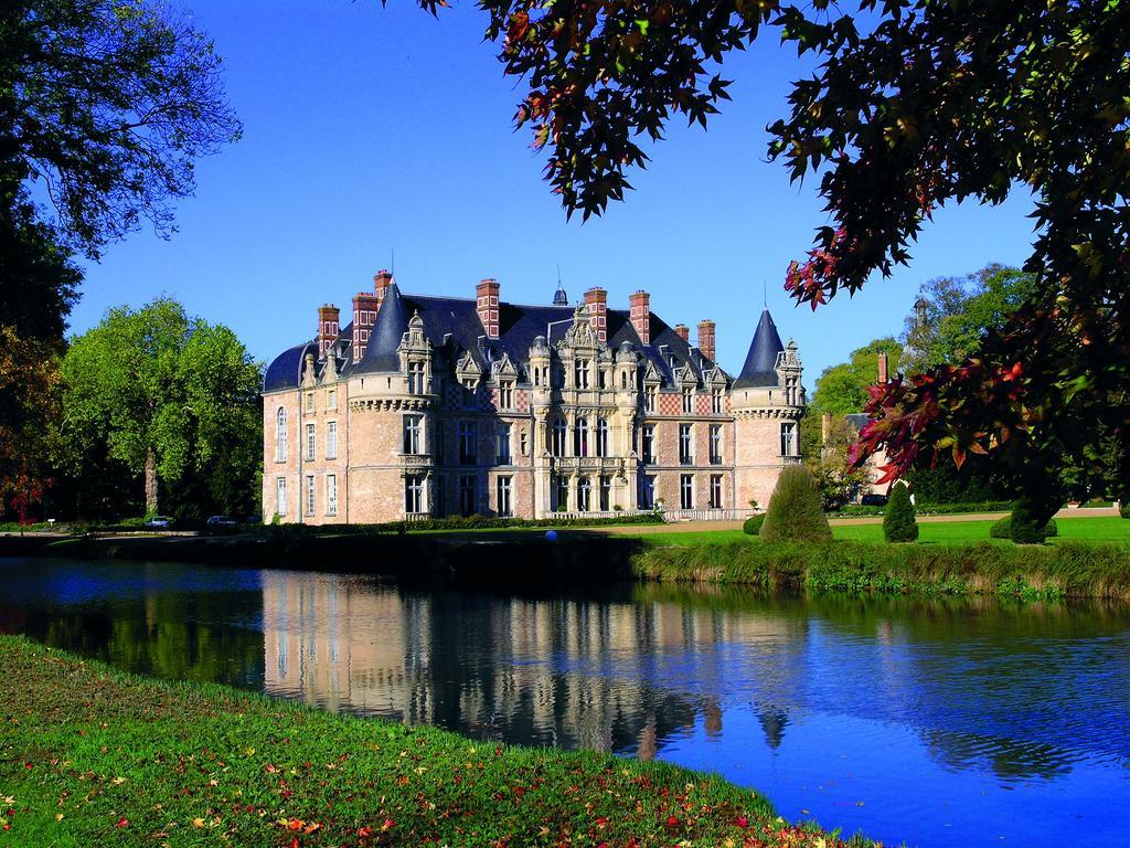 Chateau D'Esclimont Saint-Symphorien-le-Chateau Dış mekan fotoğraf